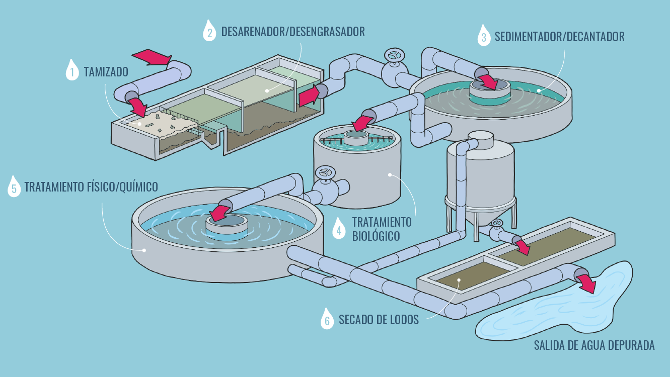 Gráfico figurativo que muestra el proceso de depuración de aguas residuales, pasando por 6 etapas: tamizado, desengrasador, decantador, tratamiento biológico, tratamiento físico/químico y secado de lodos.