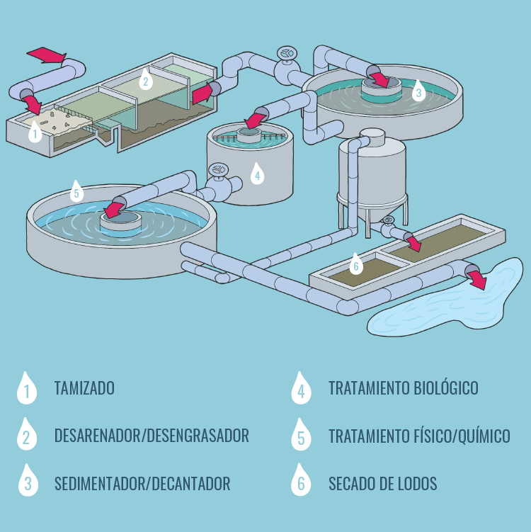 Gráfico figurativo que muestra el proceso de depuración de aguas residuales, pasando por 6 etapas: tamizado, desengrasador, decantador, tratamiento biológico, tratamiento físico/químico y secado de lodos.