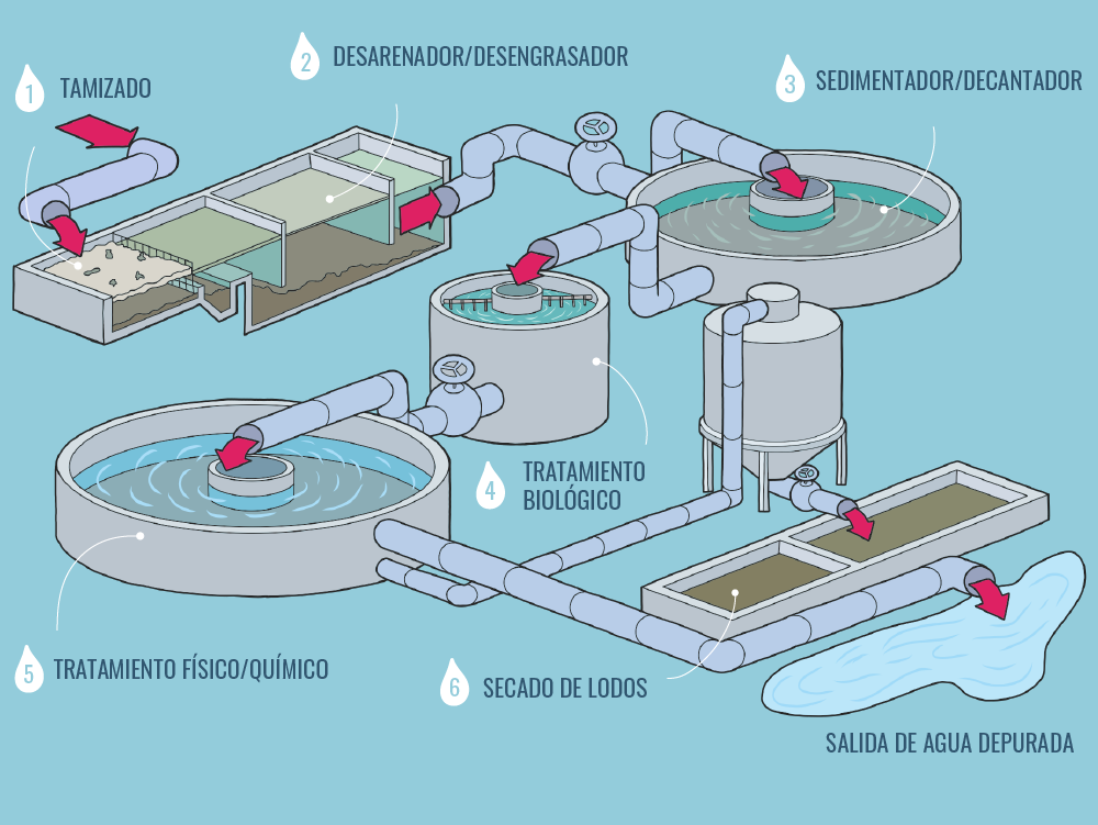 Gráfico figurativo que muestra el proceso de depuración de aguas residuales, pasando por 6 etapas: tamizado, desengrasador, decantador, tratamiento biológico, tratamiento físico/químico y secado de lodos.